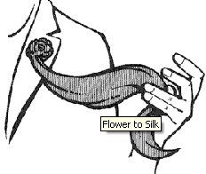 Flower To Silk - Nielsen
