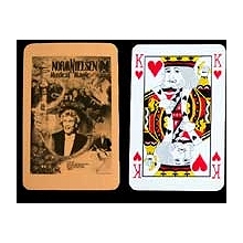 Manipulation Cards - Nielsen