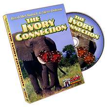 Ivory-Connection*