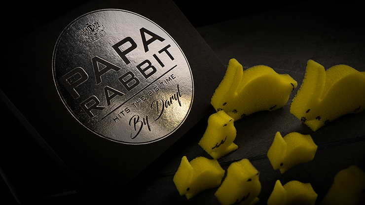 Papa-Rabbit-Hits-The-Big-Time-by-DARYL