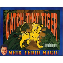 Catch That Tiger - Shigeo Futagawa
