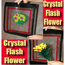 Crystal Flash Flower