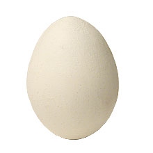 Wooden-Egg