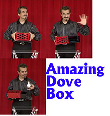 Amazing Dove Box - Tora Magic