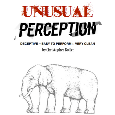 Unusual Perception by Chris Bolter