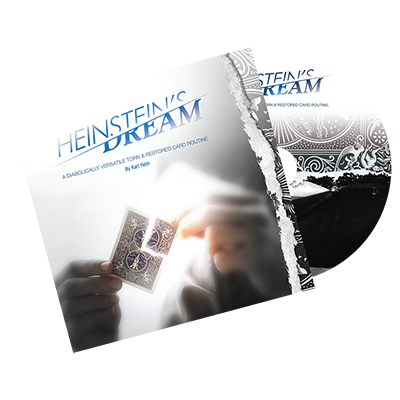 Heinstein`s Dream by Karl Hein