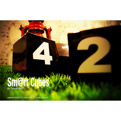 Smart Cubes (Large) by Taiwan Ben