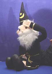 Wizard Puppet