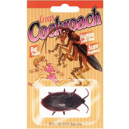 Fake-Cockroach
