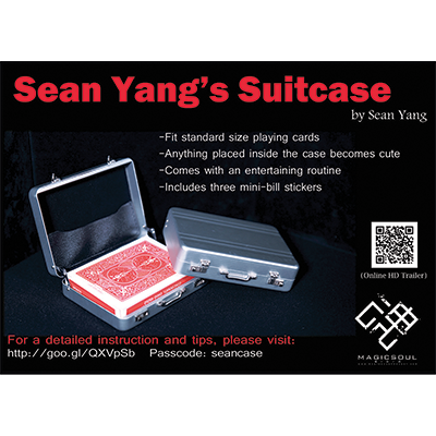 Suitcase by Sean Yang and Magic Soul
