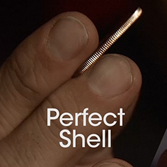 Perfect-Shell-Coin-Set-by-Tango