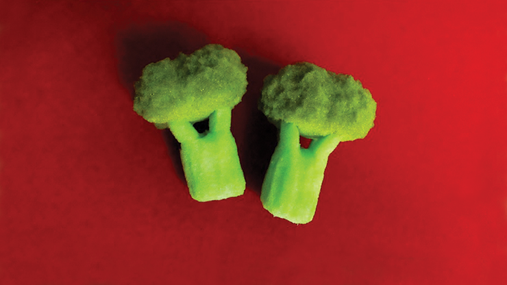 Sponge-Broccoli-Set-of-Two-by-Alexander-May