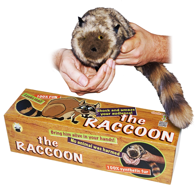 The-Raccoon