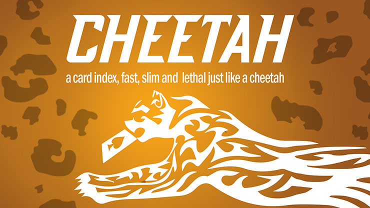 Cheetah  by Berman Dabat and Michel
